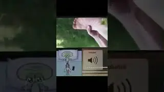 memes on discord