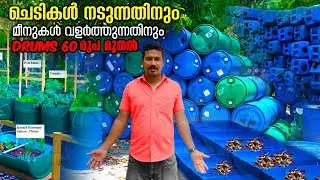 ചെടികൾ നടുന്നതിനും മീനുകൾ വളർത്തുന്നതിനും DRUMS 60 രുപ മുതൽ || Fruit plants drums || Drum farming ||