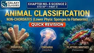 10th Std Science 2 Ch. No.6 &ndash; Animal Classification (Part 3) | Quick Revision in Hinglish | SSC | 