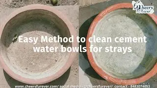 Easy Method to clean cement water bowls for stray