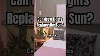 Can Grow Lights Really Replace The Sun? 💡🪴☀️ #Plants #GrowLights #PlantCare #Houseplants #Shorts