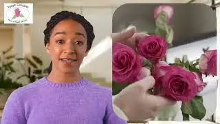 Floral Arrangements & Same-Day Delivery in Evansburg PA | Joseph Genuardi Florist & Flower Delivery