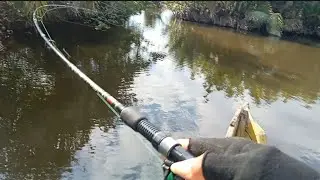 GAK PERLU JAUH KE LAUT,PANEN MANCING IKAN SPOT SUNGAI MUARA ferisferdian43 