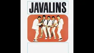 Javalins - Jenny, Jenny - Sofa King Karaoke