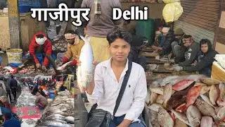 Delhi's biggest fish market | Biggest Wholesale Fish Market Delhi ghazipur fish Mandi|seafood153