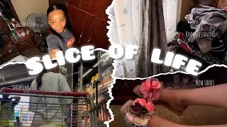 SLICE OF LIFE |VLOG | Shopping, Cleaning room, New shoes, Walk & more
