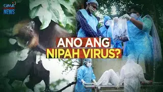 Ano ang Nipah virus? | Need To Know