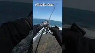 Mancing Mania Strek ikan besar di laut #mancing #fishing #joran_ku