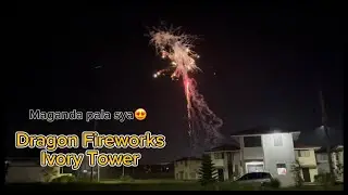 Dragon Fireworks Ivory Tower | New year 2022-2023
