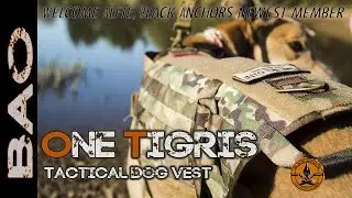 Alfie Intro and OneTigris tactical dog vest
