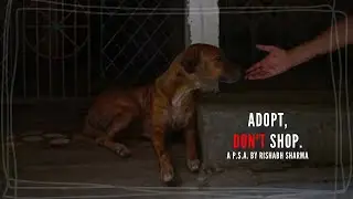 Adopt, Don't Shop | P.S.A | ARC Films