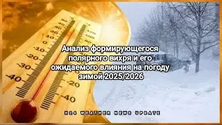 Анализ и прогноз погоды на зиму 2025/2026