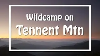 Tennent Mountain | WILD CAMP in the Shining Rock Wilderness