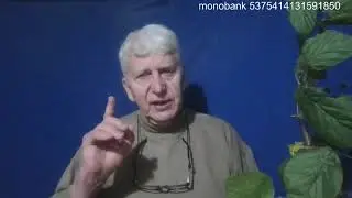 Чистые сердцем