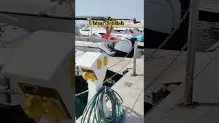 #лайфстайлвлог #короткоевидео #короткаялента #короткий