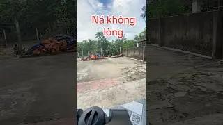 Tập bắn n&aacute; kh&ocirc;ng l&ograve;ng chạc #jkc #jkcslingshot #tapbanna #nacaosu #slingshot #dammeslingshot #ncs