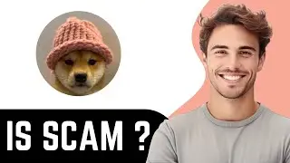 Is dogwifhat ($WIF) Token Legit or Scam ? (Review)