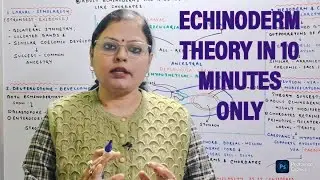 ECHINODERM THEORY//ORIGIN OF CHORDATA//BSc, MSc ZOOLOGY//ZOOLOGY MADE SUPER EASY BY SEEMA MA'AM.