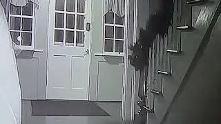 The Litz Mansion, Tazewell, VA    Orb or Nah?? (Slowed Down Version)