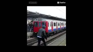 d stock