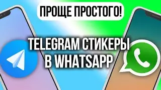 Как перенести стикеры из Телеграм в WhatsApp