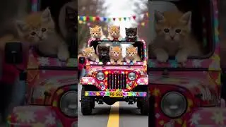 Laughing kittens making hearts melt 😸🤣 #CatVibes #KittenEnergy #HappyTimes