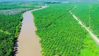 R&iacute;o Aguan, Col&oacute;n, Honduras, C.A.🇭🇳❤️&zwj;🩹