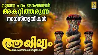 മുജന്മ പാപദോഷങ്ങൾ അകറ്റിത്തരുന്ന നാഗസ്തുതികൾ | Ayilyam 2024 #naga #ayillyam #devotional