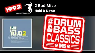 2 Bad Mice: Hold It Down | SHADOW1002-Y1 | Moving Shadow