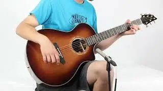 Breedlove Legacy Concert CE
