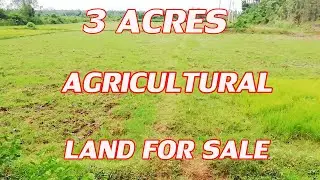 3 ACRES LAND FOR SALE | COMPACT AGRICULTURAL PROPERTY SALE | LOW-COST LANDS | BUY & SELL WITH DUDDU