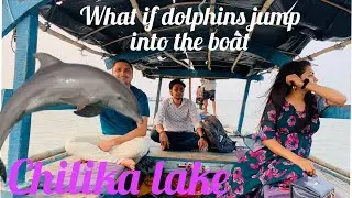 Chilika Lake | Satpada | Migratory Birds | Dolphin | Drone View | Kalijai Temple | Bird Island | 4K