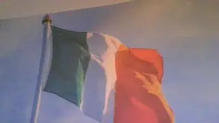 CELTIC TIGER EXTINCT SINCE 2009  ON THE ISLAND OF IRELAND #ireland #dublin #eire #extinction #film