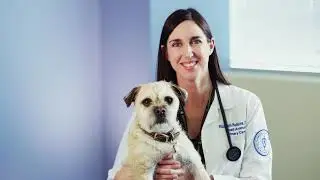Midwestern University Companion Animal Clinic - Complete Care