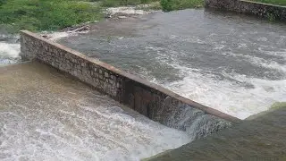 दीपावास बाँध रायपुर, ओवरफ्लो अपडेट || DEEPAWAS raipur dam overflow 17/8/2024