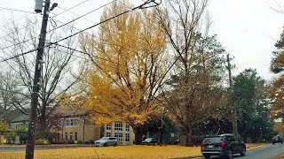 Buckhead Drive 3 of 3 Habersham Road Sunday December 5th 2021 #Habersham Road