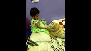 playing with Bengla Tiger# Soldier Self Life @ #shortvideo @my vlog#