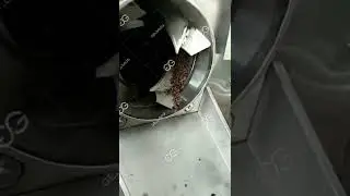 Industrial Cocoa Bean Roaster Machine Price / GELGOOG