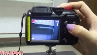 2.4