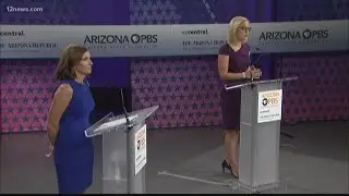 Top 18 of 2018: Arizona Senate race