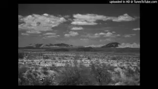 Doty - Palm Dessert Swamp Ass