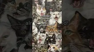 and I'll paint some of them again! :3 #cat #art #painting #funny