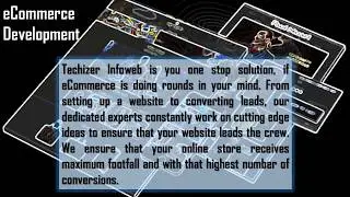 Find Global Exposure with Techizer Infoweb