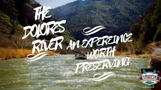 The Dolores River - An Experience Worth Preserving | Mild to Wild Rafting & Jeep Tours