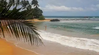 Unawatuna Beach, Galle, Sri Lanka. - Sri Lanka / Hikkaduwa /Galle / Unawatuna