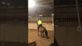 Some jumps with felina #horsefails #equestrian #horse #horsegirl #jumping #ridingschool