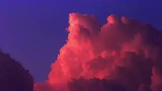 Taidevideo