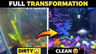 फोहोर Aquarium लाई नयाँ जस्तै भयो 😲 | Before After vlog