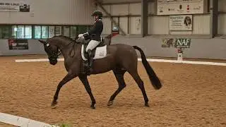Helen Dutton and Farufio NorthWest regional championships Myerscough medium  gold freestyle