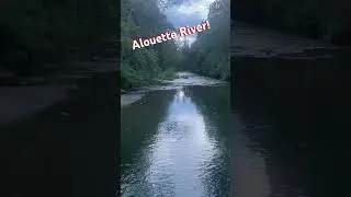 #alouette #river #riverview #riverside #lazyriver #scenic #scenery #britishcolumbia #bc #beautiful